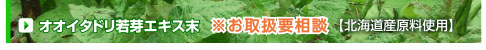 オオイタドリ若芽エキス末　北海道産原料使用